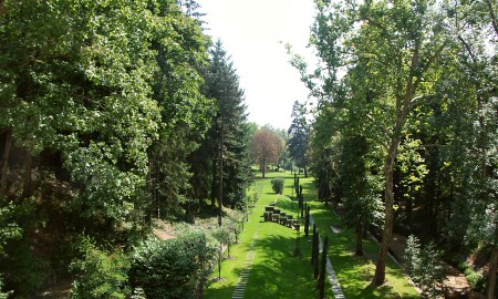 The Lanscaped garden