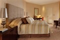 Harlequin Suite