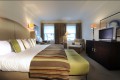 The Executive Room