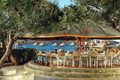 Beach Bar