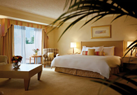Premiere Guest Room