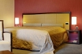 Superioir Room, Designer Style